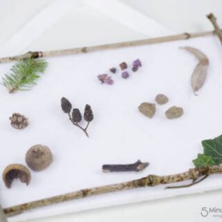 Image for Nature Pocket Art