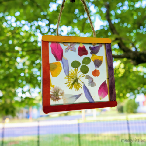Image for Nature Suncatcher Craft