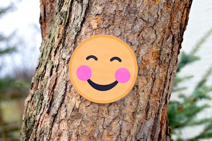 Smiling emoji face attached to a tree from Fireflies and Mud Pies.