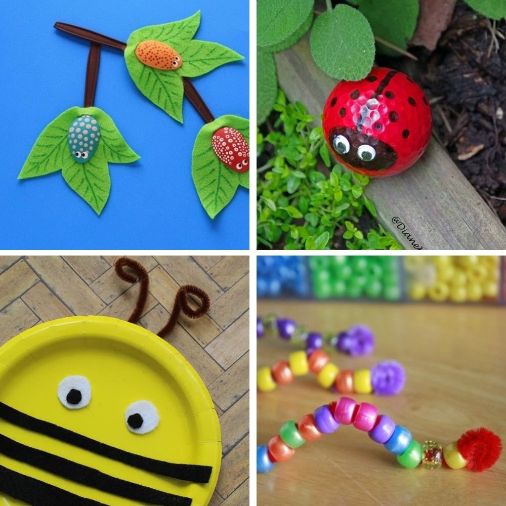 Bug activities collage.