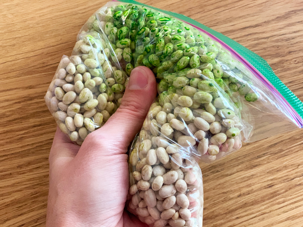 Hand mixing a bag of white beans with green food dye.