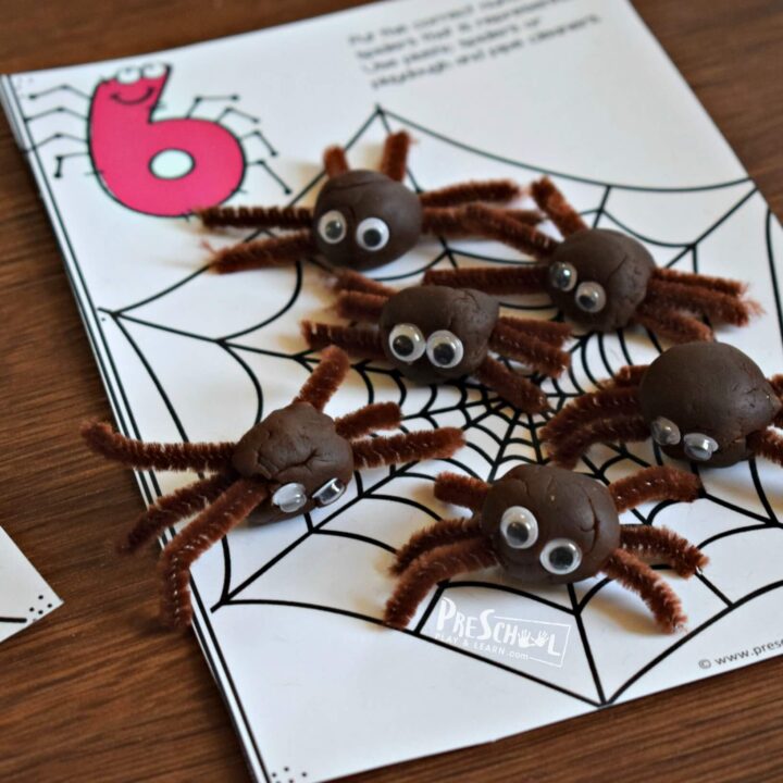 spider counting game