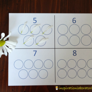 flower number circles