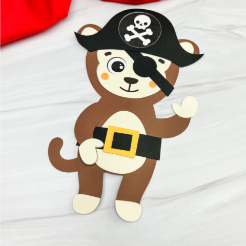 monkey pirate