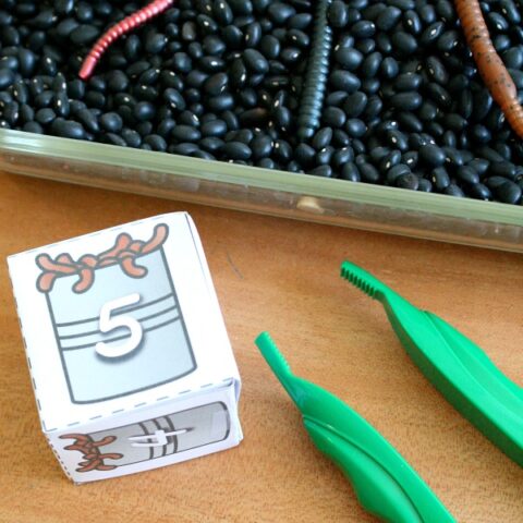 worm sensory bin for counting