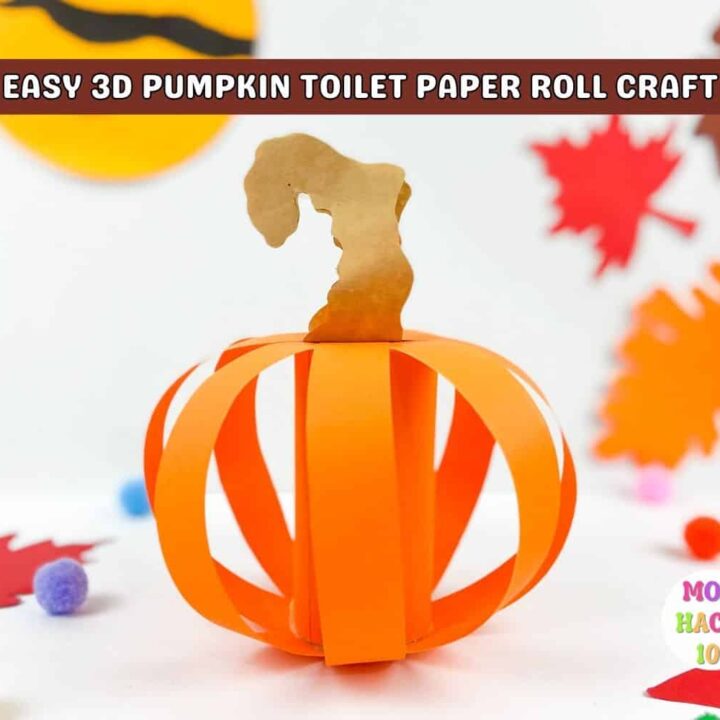 Image for 3D Pumpkin Toilet Paper Roll