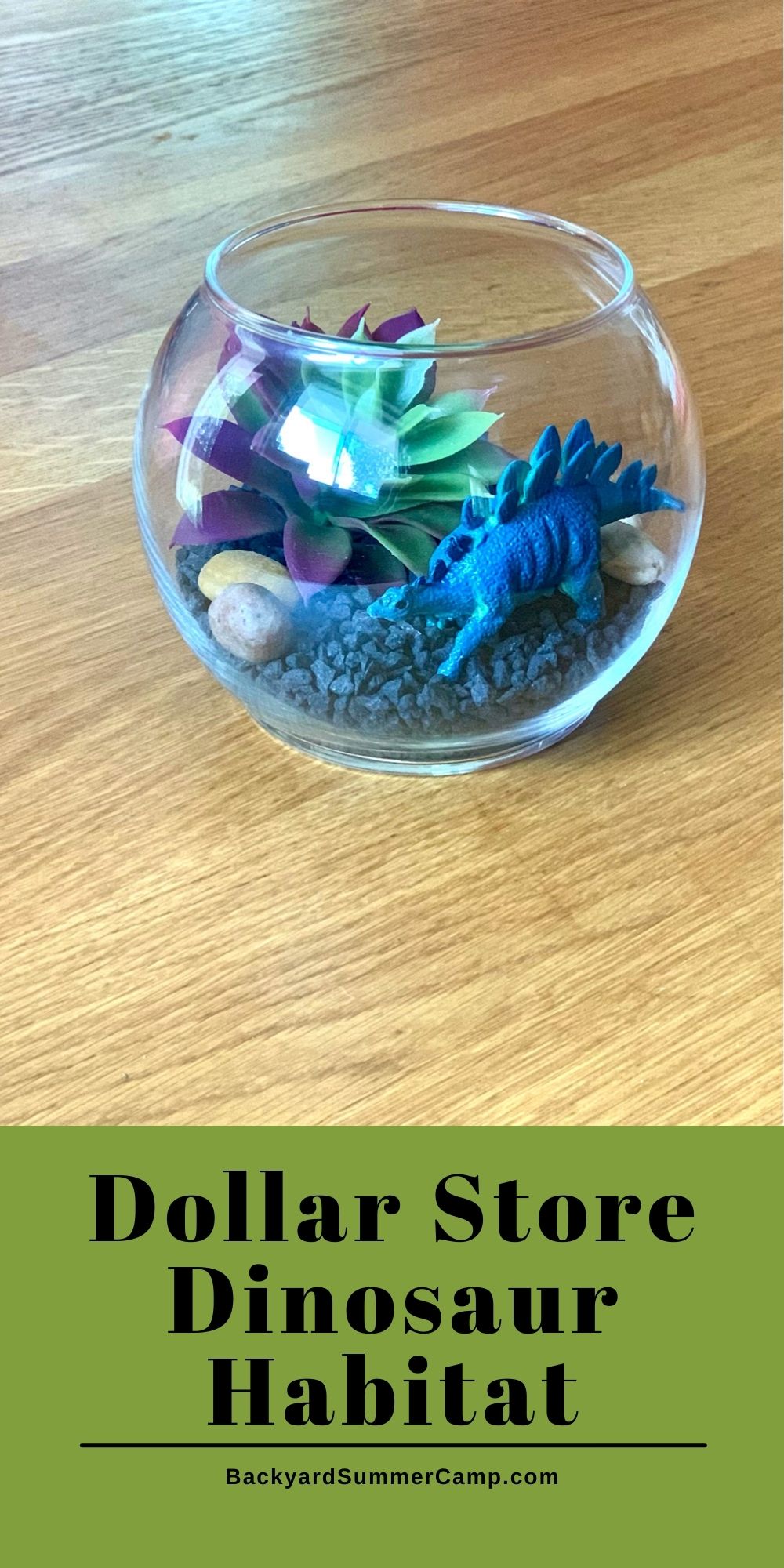 Dollar store dinosaur habitat.