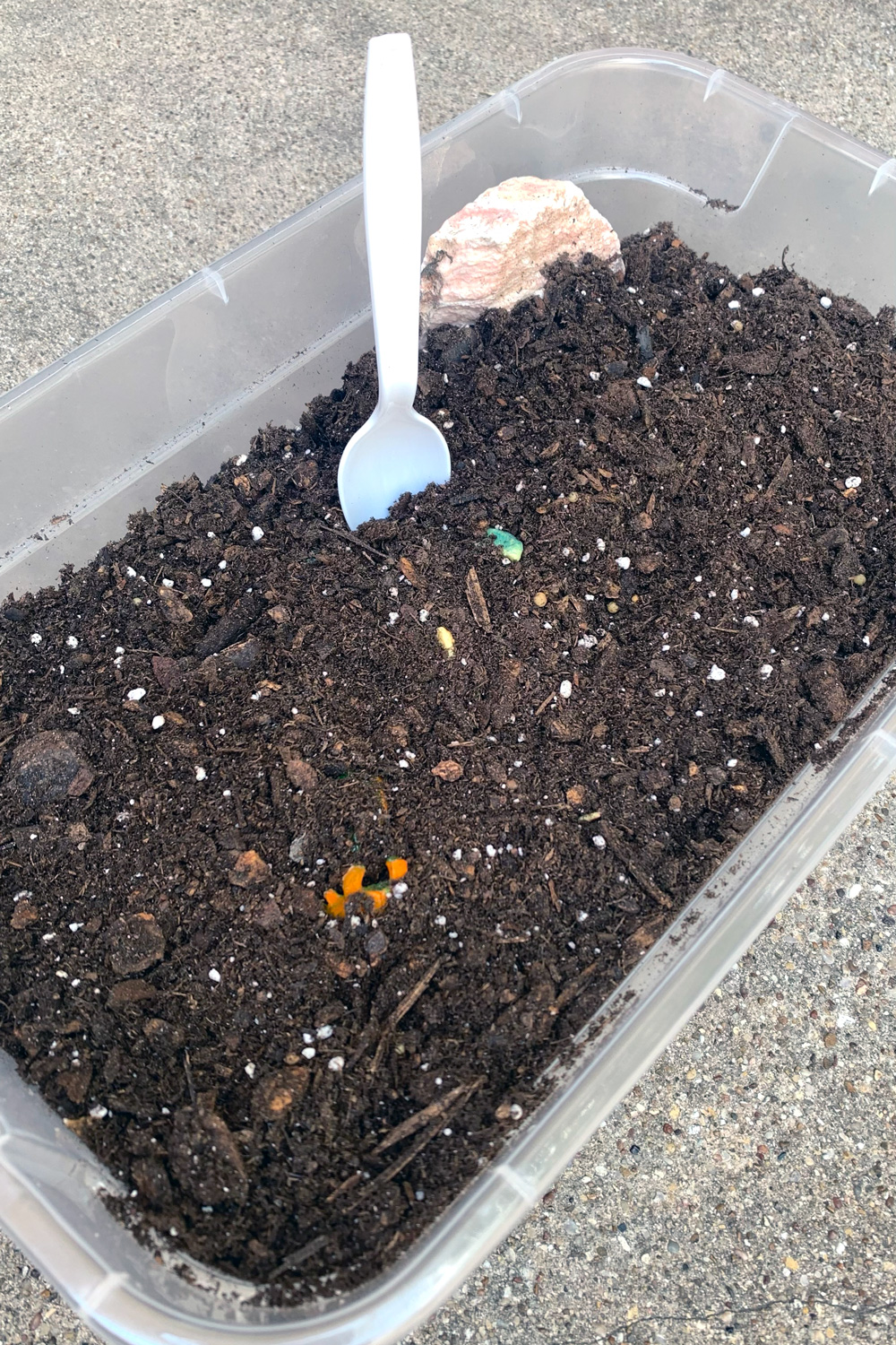 Small toy dinosaurs hidden in a bin of dirt with tiny ends sticking up.