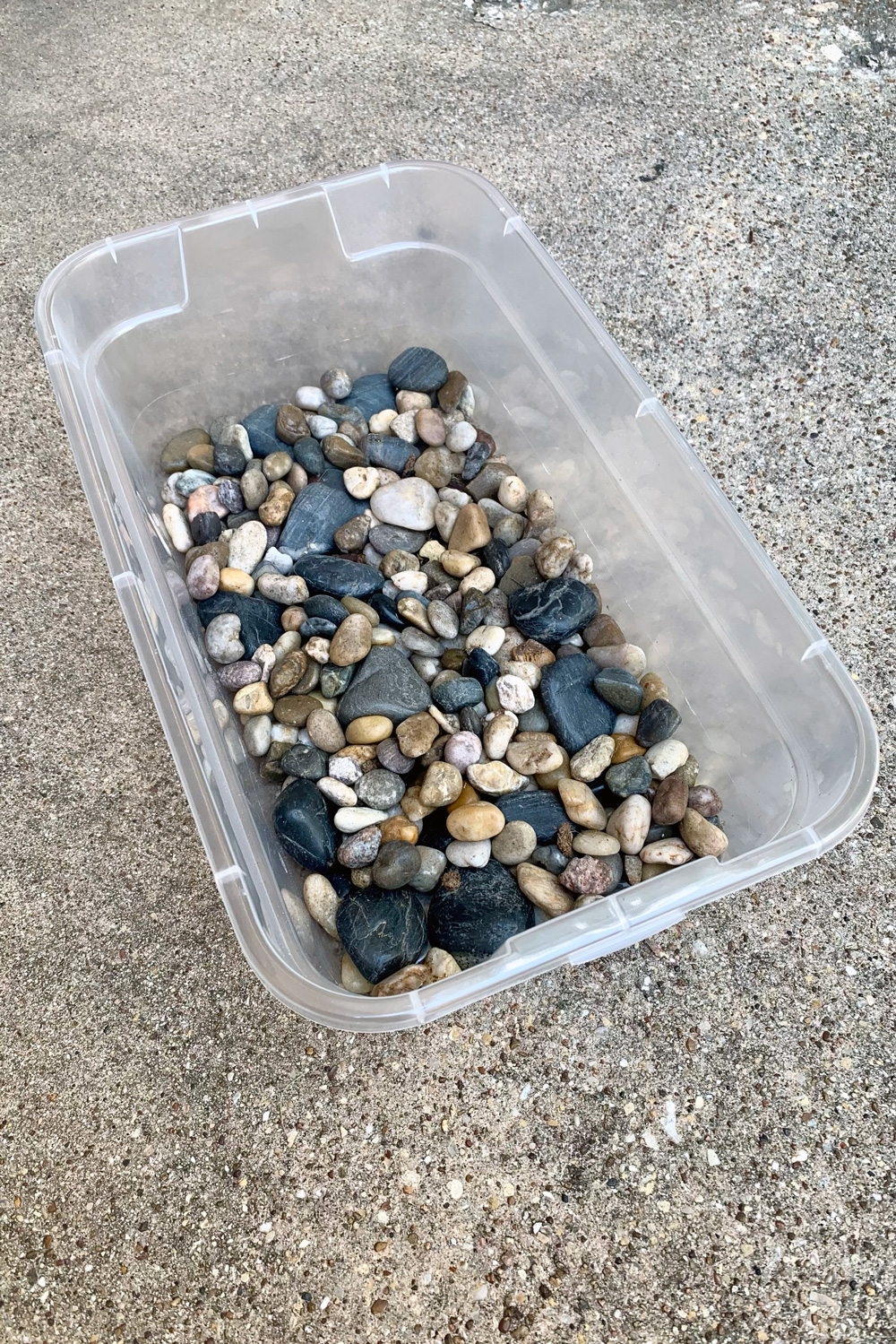 A layer of small rocks about 2 inches deep in a plastic tub.