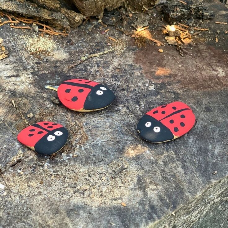 24 Bug Activities and Kids' Craft Ideas - Backyard Summer Camp