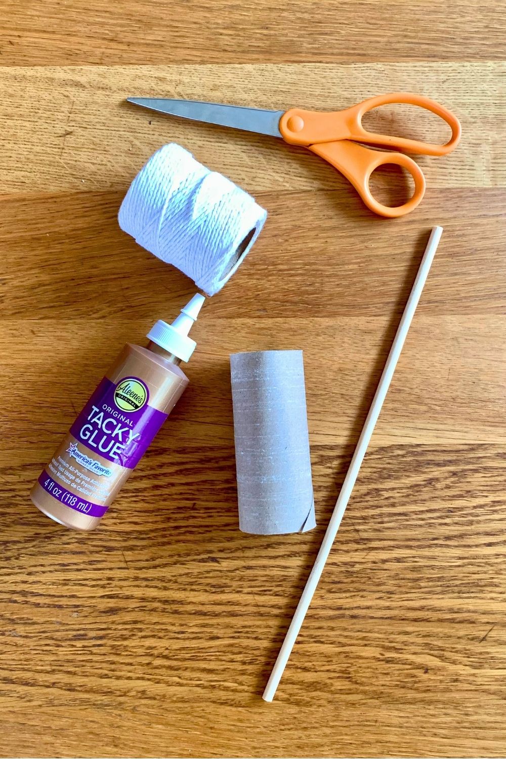 A pair of scissors, white cotton cord, bottle of craft glue, cardboard tube, and wooden dowel.