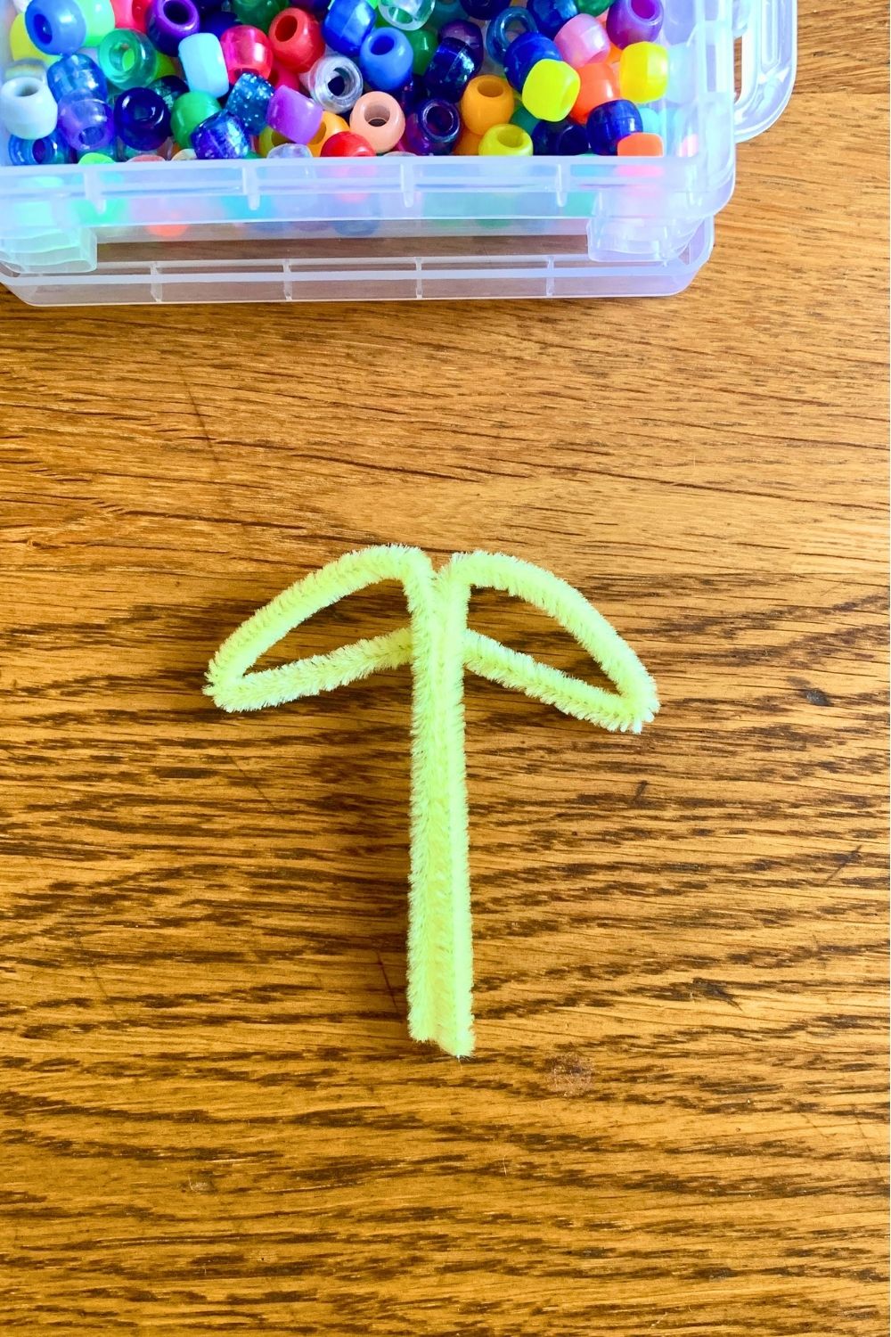 Bend the top section of pipe cleaner into a pair of wings.