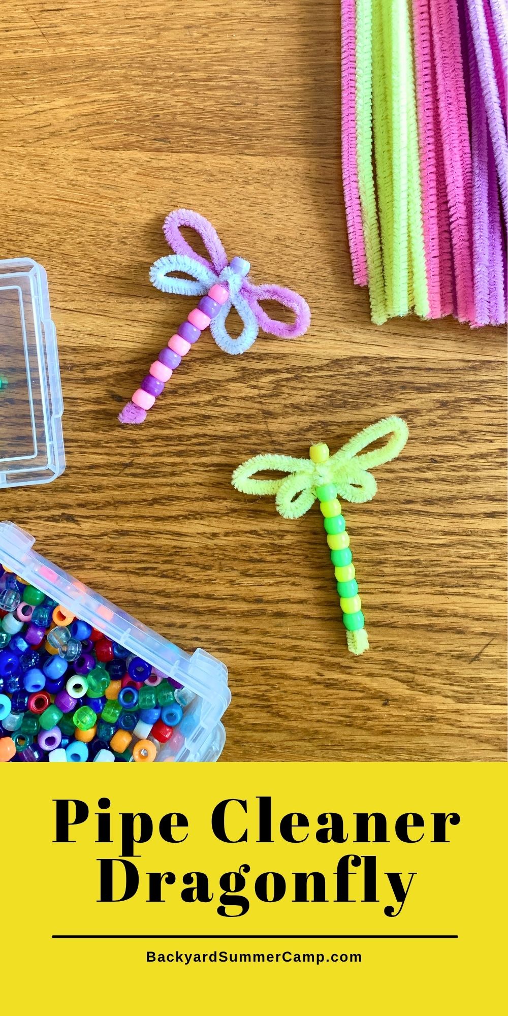 Pipe cleaner dragonfly.