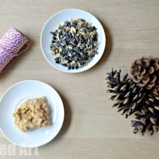 Image for Pine Cone Bird Feeders