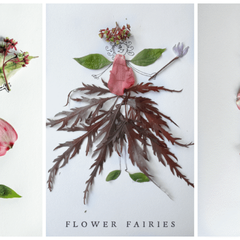 Image for Flower Fairy Craft