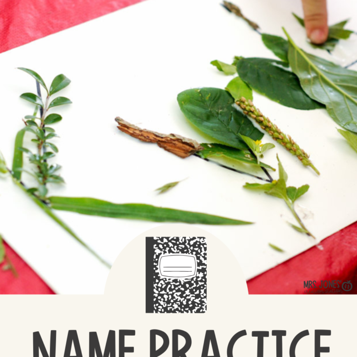Image for Nature Name Activity