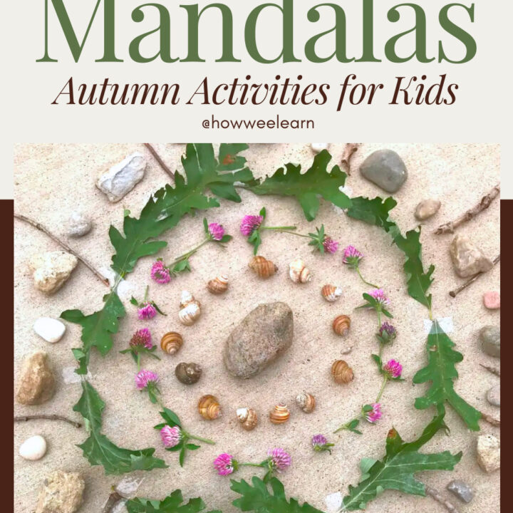 Image for Nature Mandalas Activity