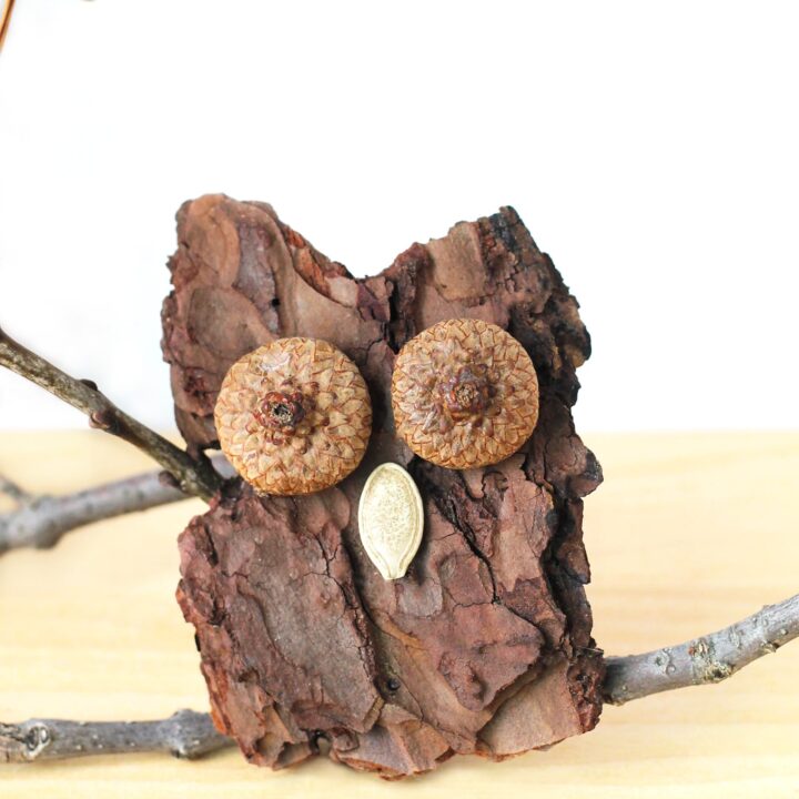 Image for Bark Owls