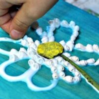Image for Shell Daisy Nature Craft