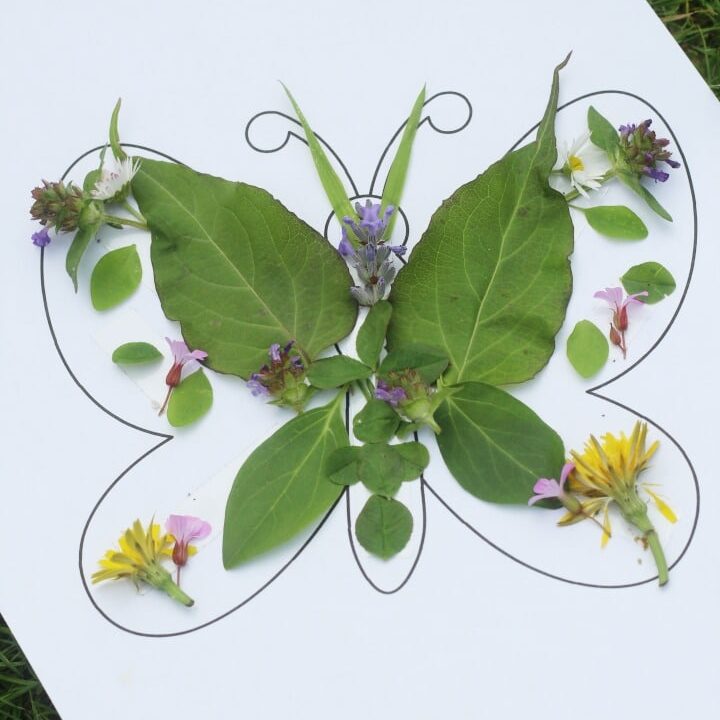 Image for Butterfly Nature Craft