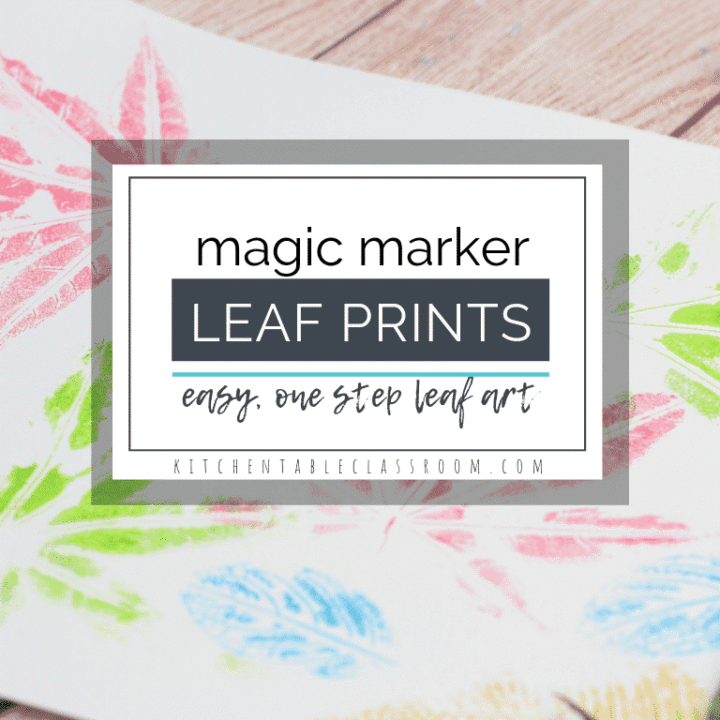 Image for Magic Marker Leaf Prints
