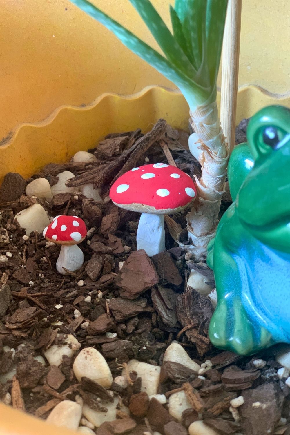 Mushroom painted rocks with red caps and white polka dots.