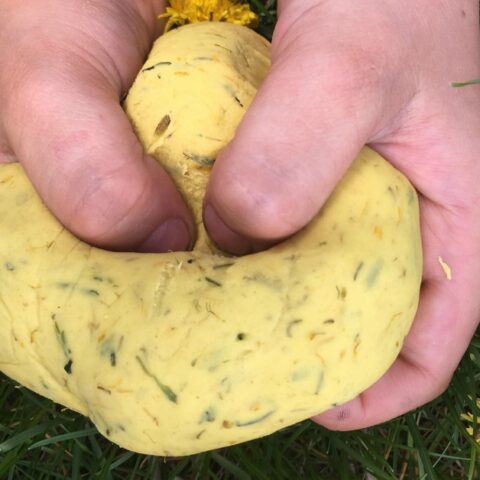 Image for Dandelion Play Dough