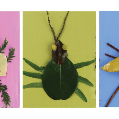 Image for Nature Art Bugs
