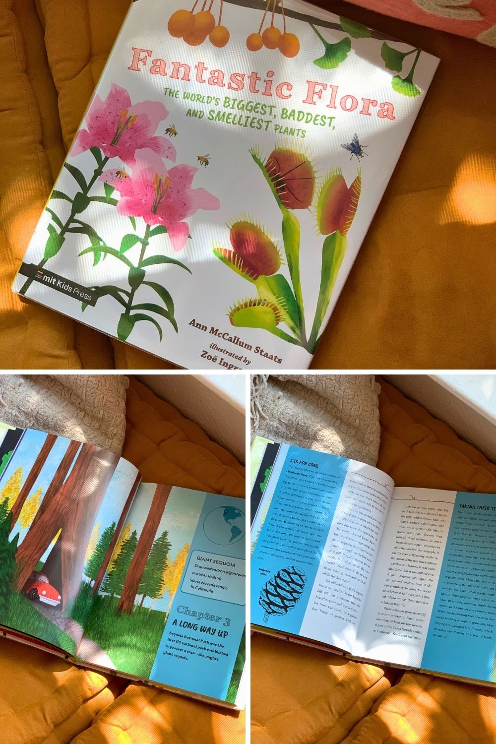A collage of photos showing the cover and inside pages of the book Fantastic Flora by Ann McCallum Staats.