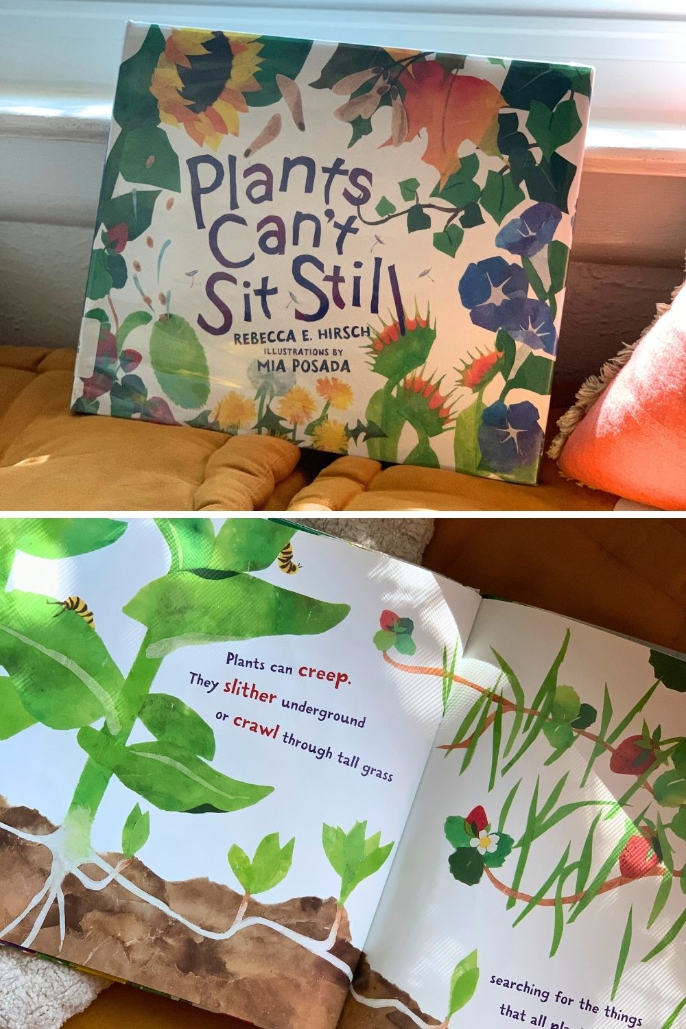 A collage of photos showing the cover and inside pages of the book Plants Can't Sit Still by Rebecca E Hirsch.