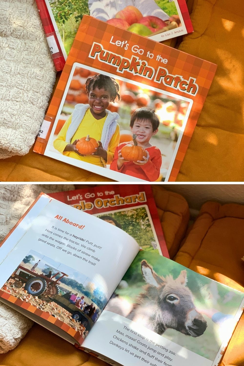 A collage of photos showing the cover and inside pages of the book Let's Go to the Pumpkin Patch by Lisa J Amstutz.