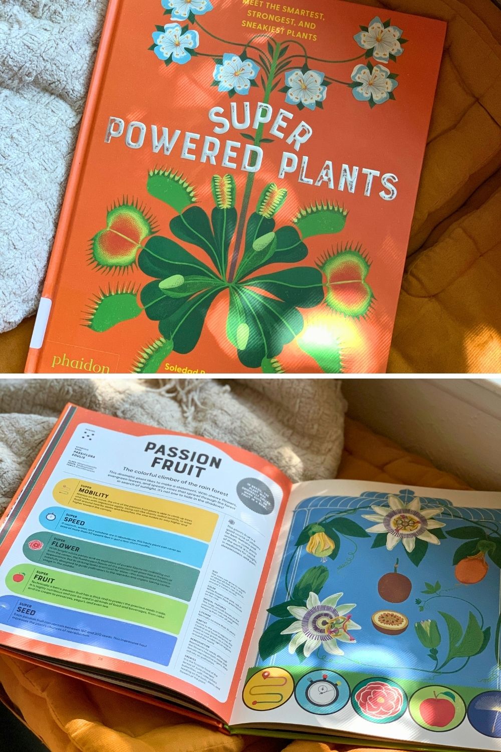 A collage of photos showing the cover and inside pages of the book Super Powered Plants by Soledad Romero Moreno.